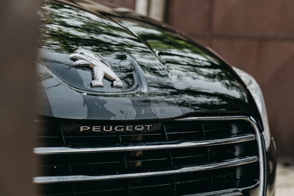 Trouvez facilement la pièce de carrosserie idéale pour votre peugeot